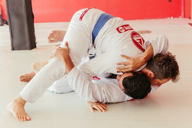 Top Brazilian Jiu-Jitsu